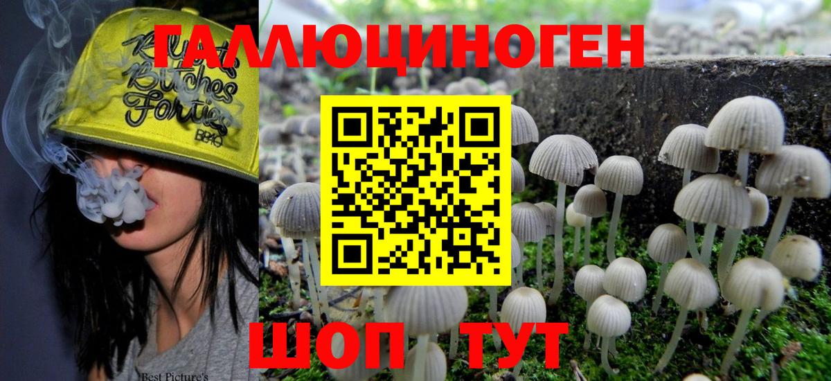 Псилоцибиновые грибы прущие грибы Озёрск